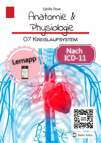 Anatomie & Physiologie Band 07: Kreislaufsystem (E-Book)